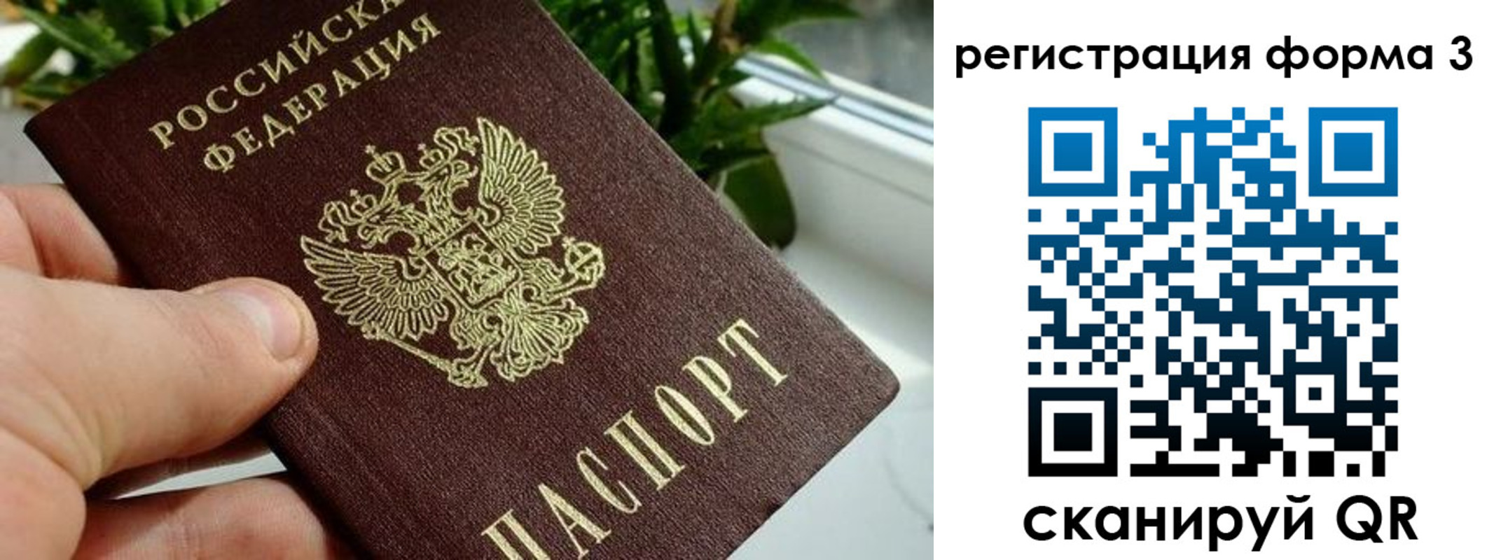 прописка штамп в Вологодской области
